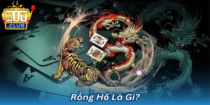 Tổng quan về rồng hổ Hitclub