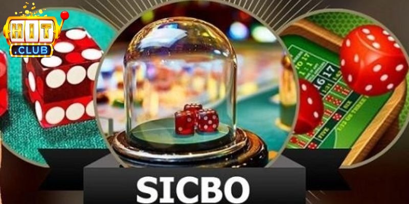 Xem kết quả các ván trước để đoán quy luật ra kết quả